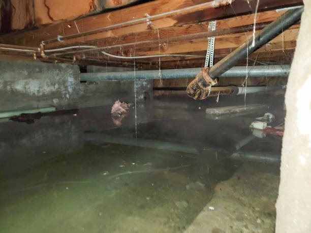 Best Water damage contractors near me  in East Oakdale, CA
