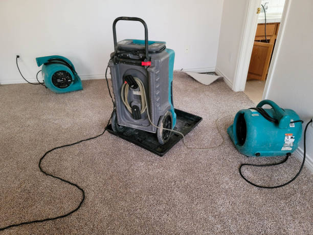 Best Ceiling water damage repair  in East Oakdale, CA