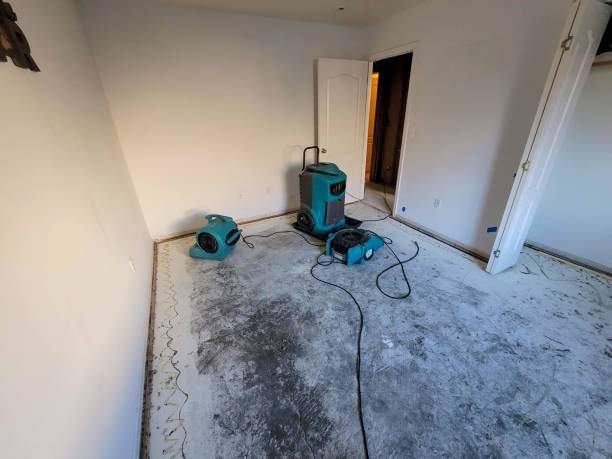 Best Professional water damage repair  in East Oakdale, CA