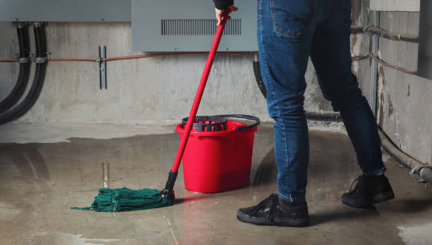 Best Water damage cleanup near me  in East Oakdale, CA