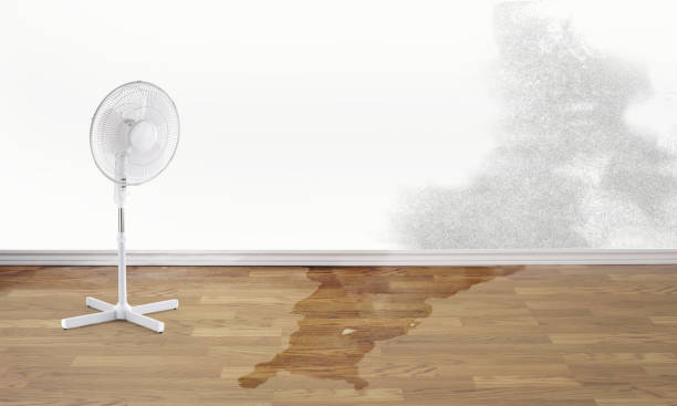 Best Water damage restoration services  in East Oakdale, CA