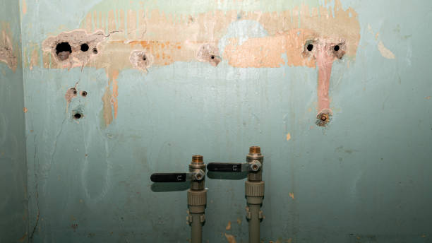 Best Local water damage restoration  in East Oakdale, CA