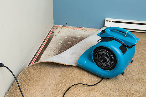 Best Fire Damage Restoration  in East Oakdale, CA